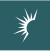 Solaris Energy Infrastructure